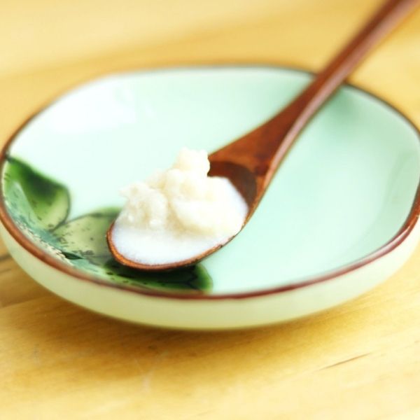 Dairy Free "Milk" Kefir Grains - 1 Teaspoon - FoodCraft Online Store 