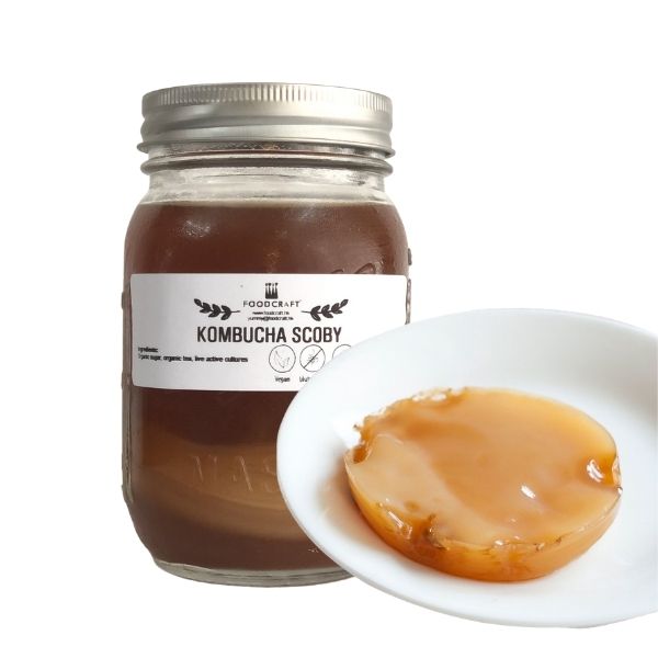 Kombucha SCOBY - FoodCraft Online Store 
