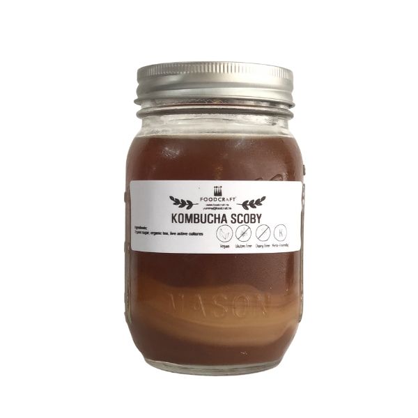 Kombucha SCOBY - FoodCraft Online Store 