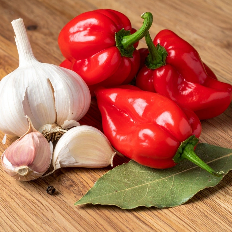 Lacto-Fermented Hot Sauce (MAX HOT) - 150g Ingredients