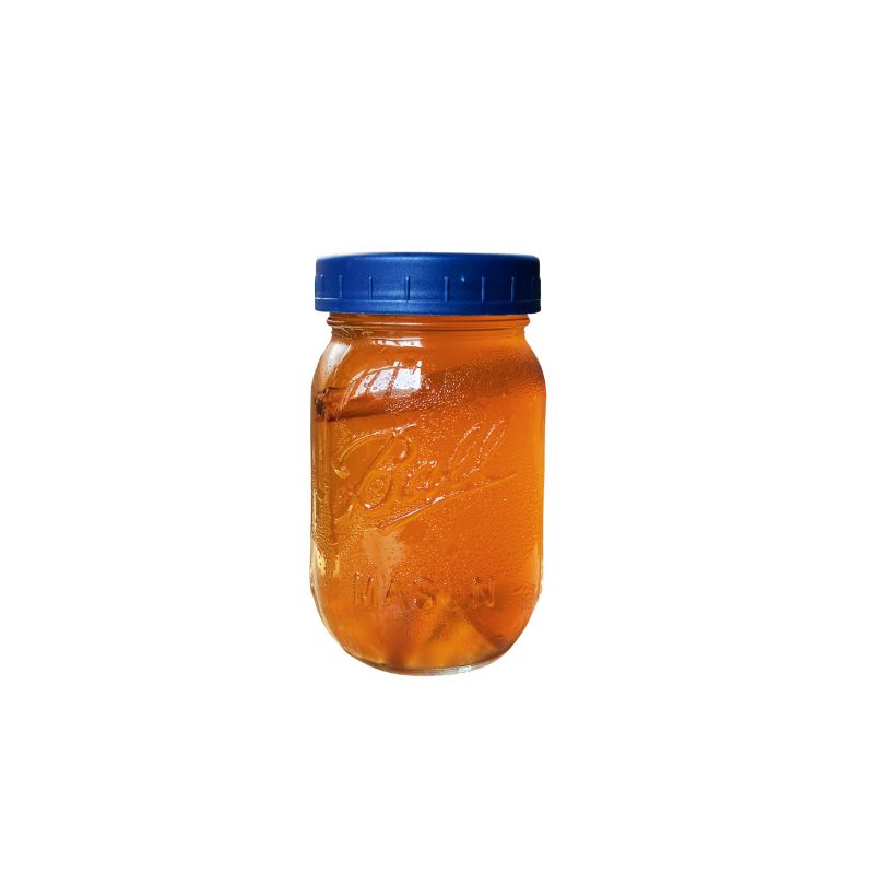 Organic Fig with Cinnamon Stick Water Kefir - Foodcraft Online Store
