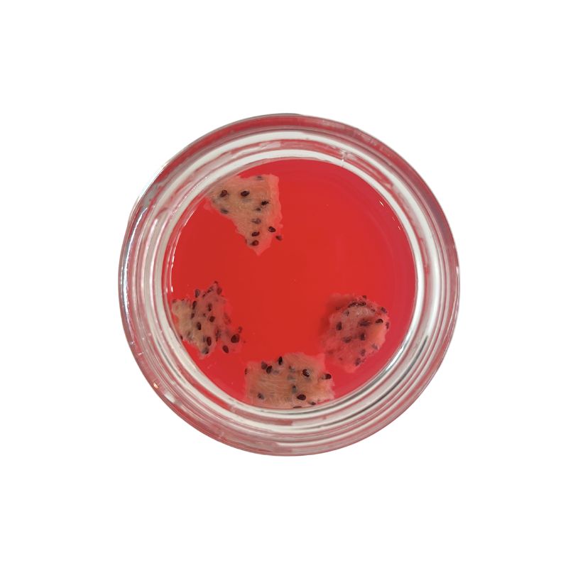 Pink Pitaya Coconut Water Kefir - 400ml - Foodcraft Online Store