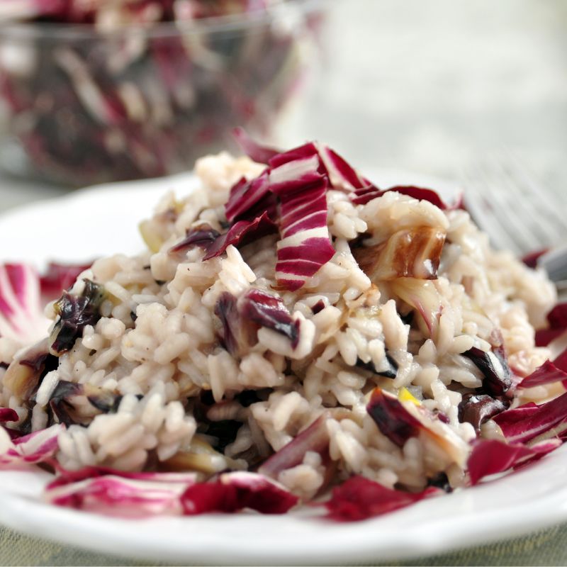 Radicchio - Foodcraft Online Store