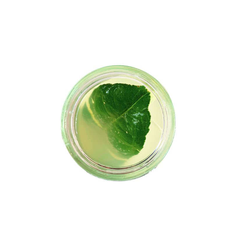 Thai Breeze Coconut Water Kefir - 400ml - Foodcraft Online Store