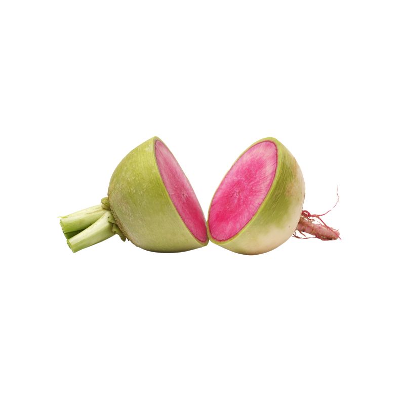 Watermelon Radish – Foodcraft Online Store
