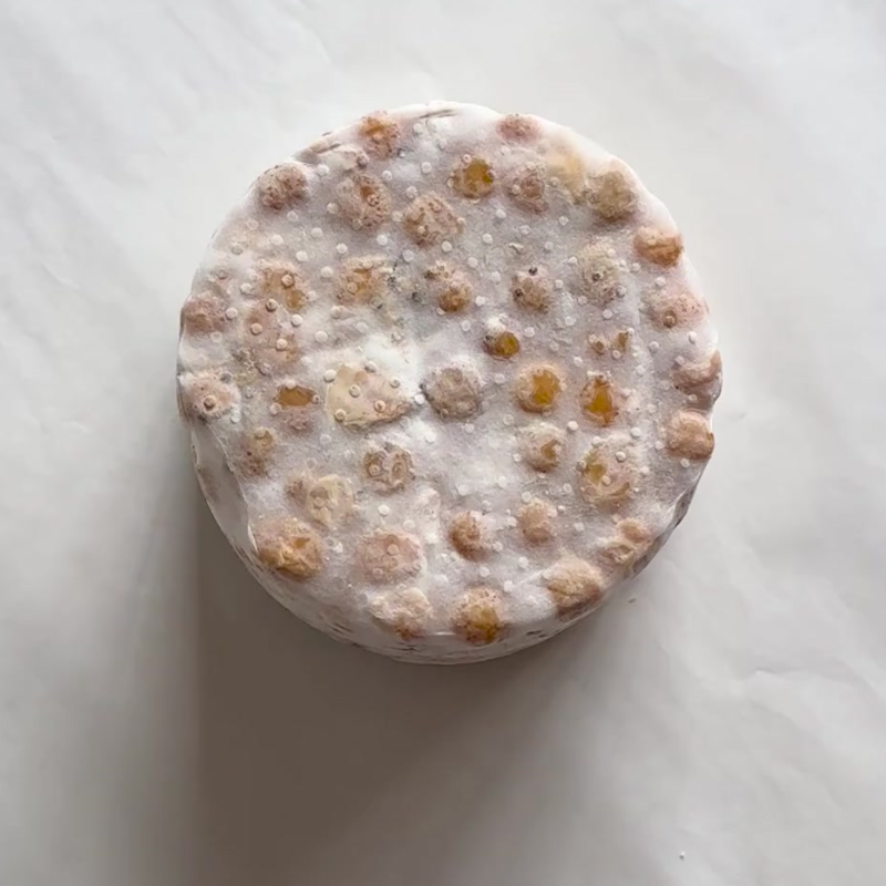 Organic Chickpea Tempeh Patty - 250g